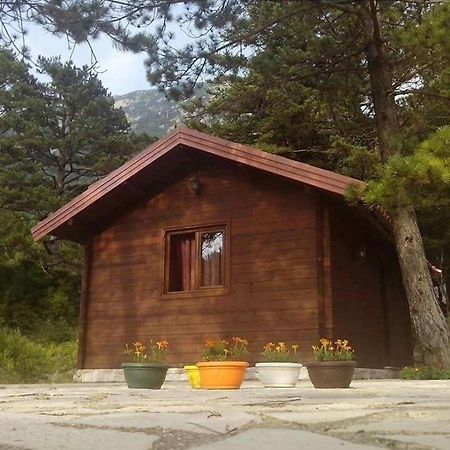 Iliria Tiny House Llogora Орикум Экстерьер фото