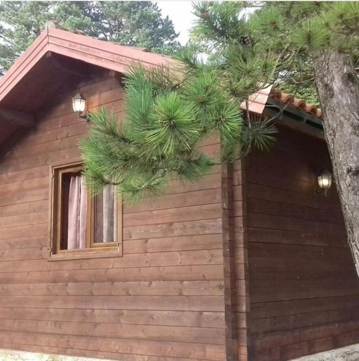 Iliria Tiny House Llogora Орикум Экстерьер фото